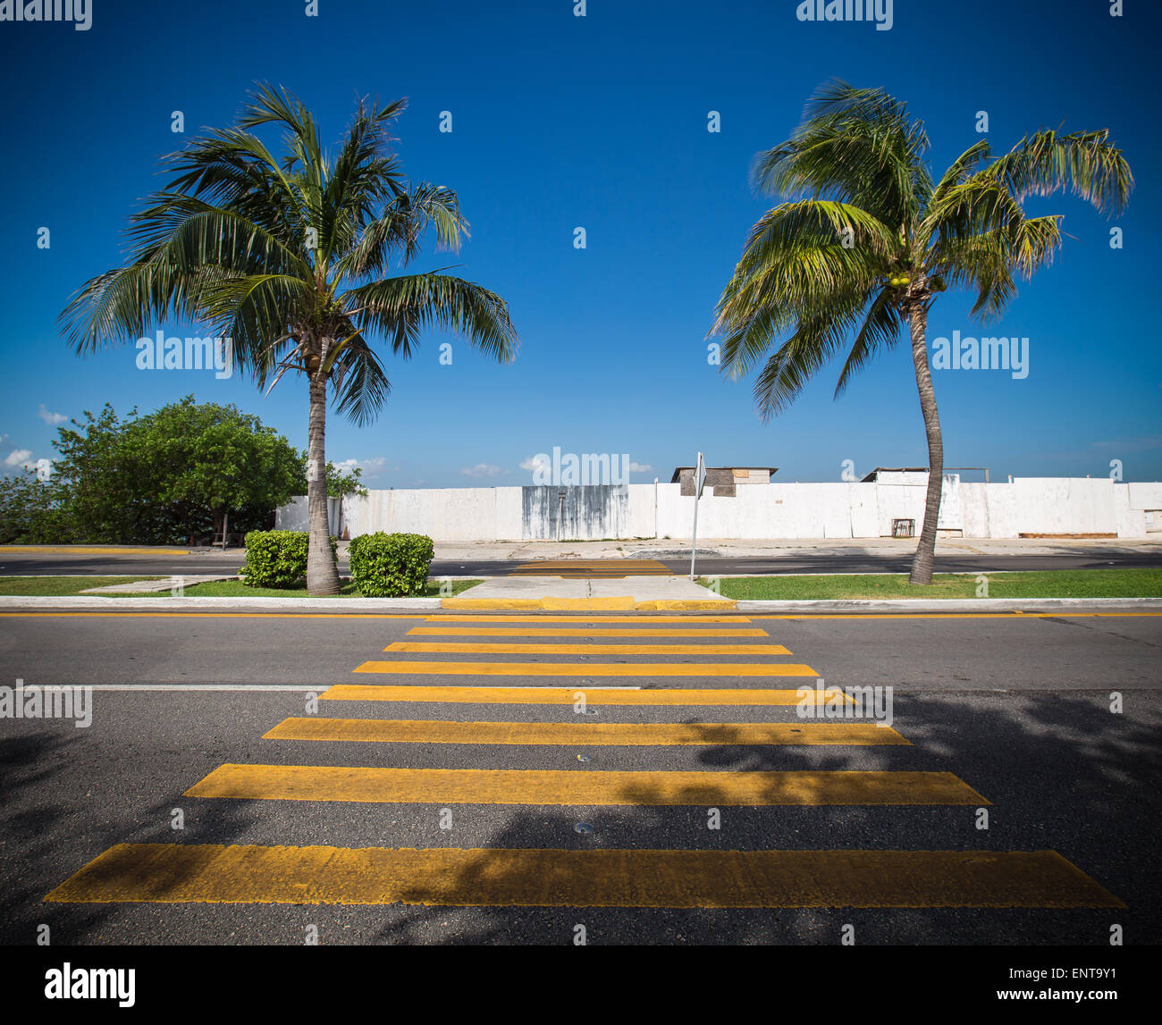 Pedestrian crossing on tropical street road Stock Photo - Alamy