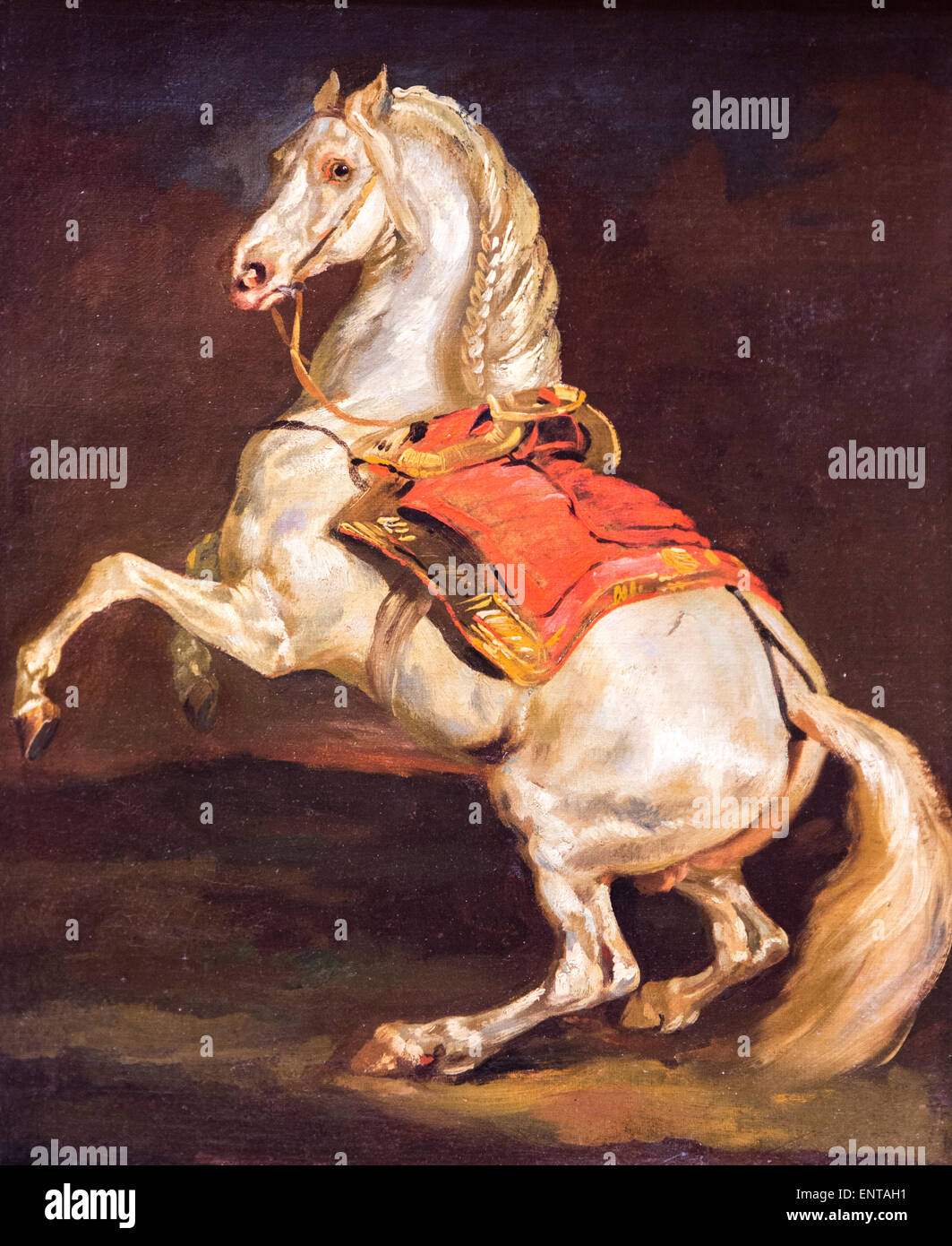 ActiveMuseum 0006138.jpg / Prancing Horse red saddlecloth, formerly said: Tamerlan, the emperor's horse 04/12/2013  -   / 18th century Collection / Active Museum Stock Photo