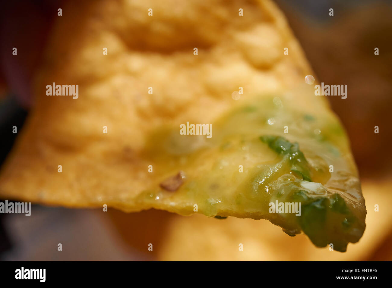 Tortilla chip with green salsa, typical American Mexican Restaurant item Stock Photo