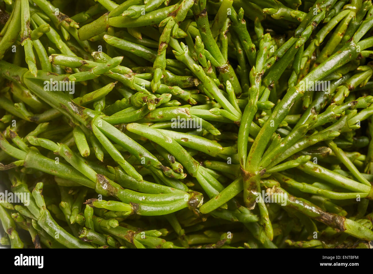 fresh sea beans Stock Photo Alamy