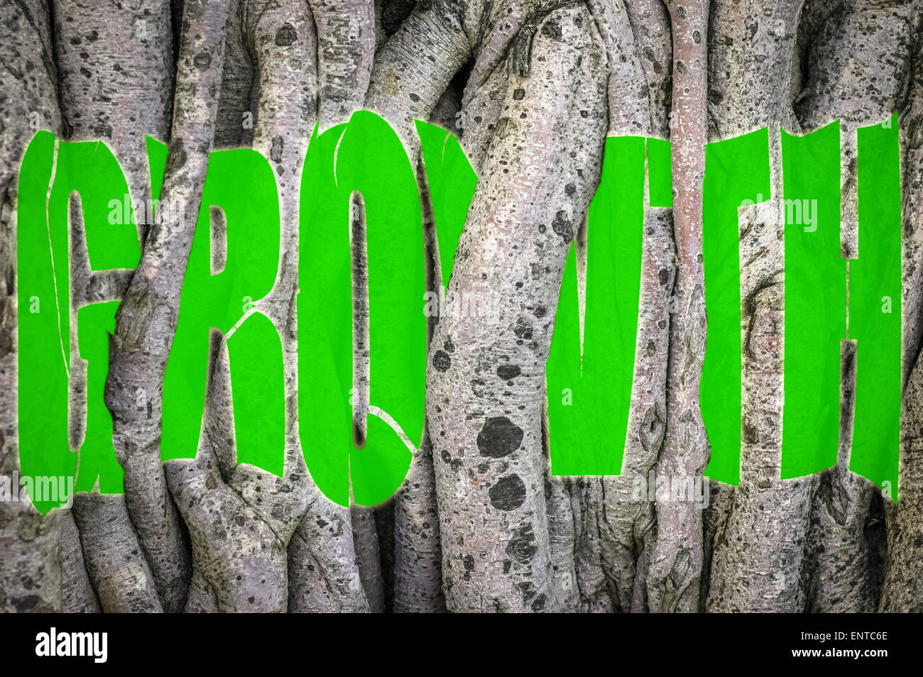 Conceptual Image Of The Word Growth Twisted And Torn Behind The Vines Of A Tree Stock Photo