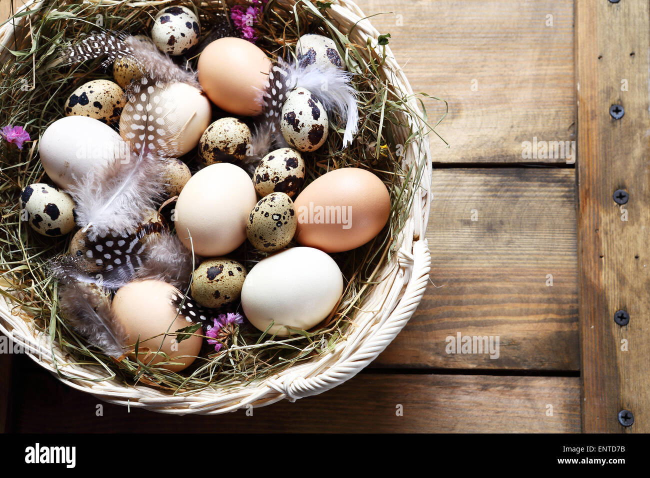 Rustic Easter Eggs In Basket Stock Photo Alamy