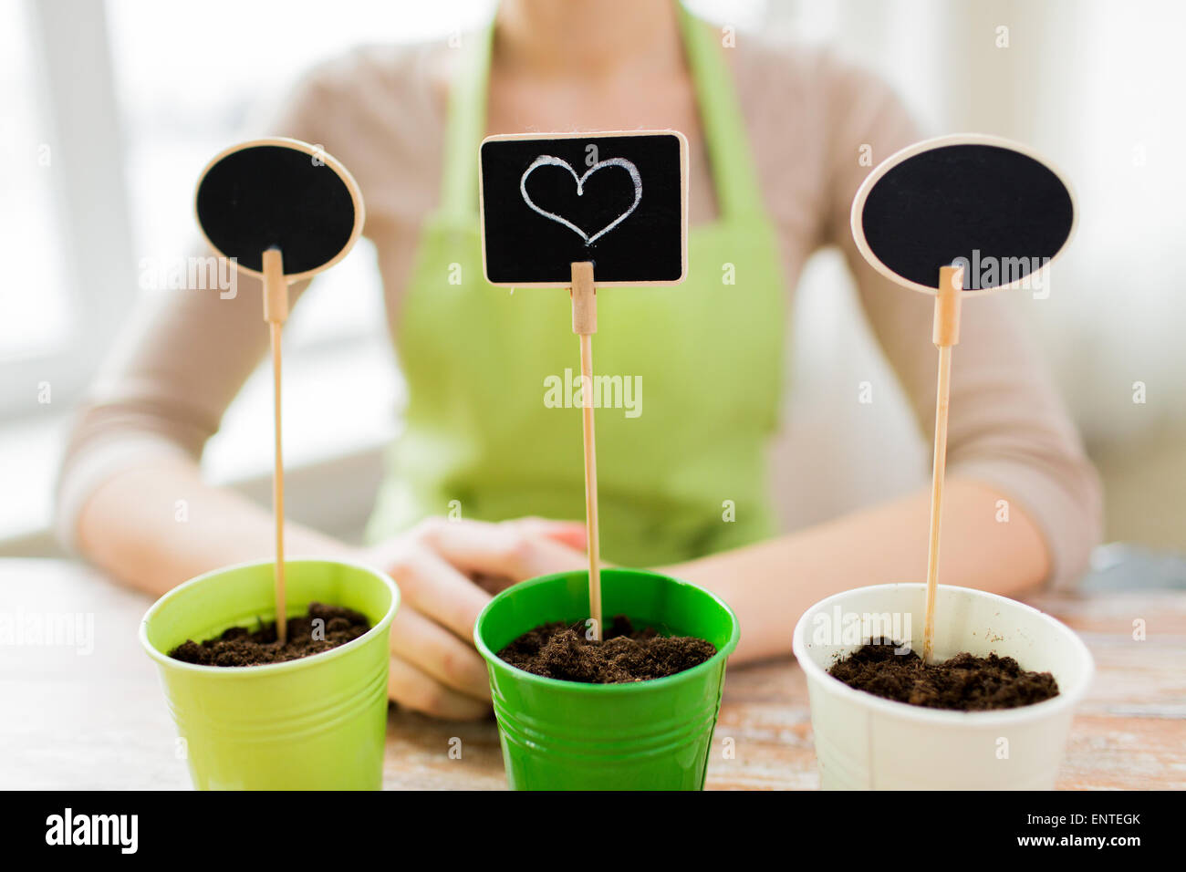 close up of woman over pots with soil and signs Stock Photo - Alamy