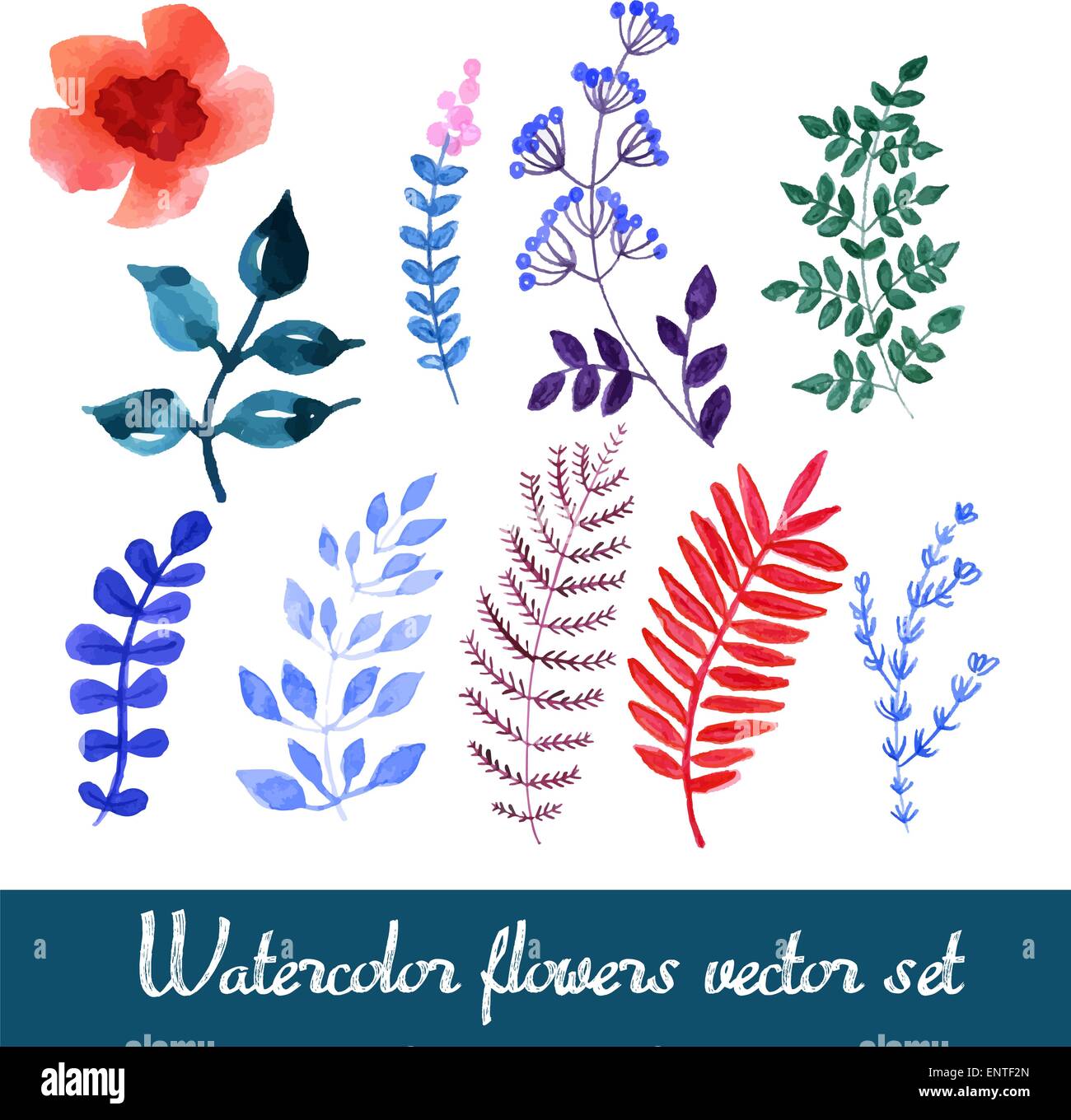 Set of beautiful watercolor flowers Stock Vector Image & Art - Alamy