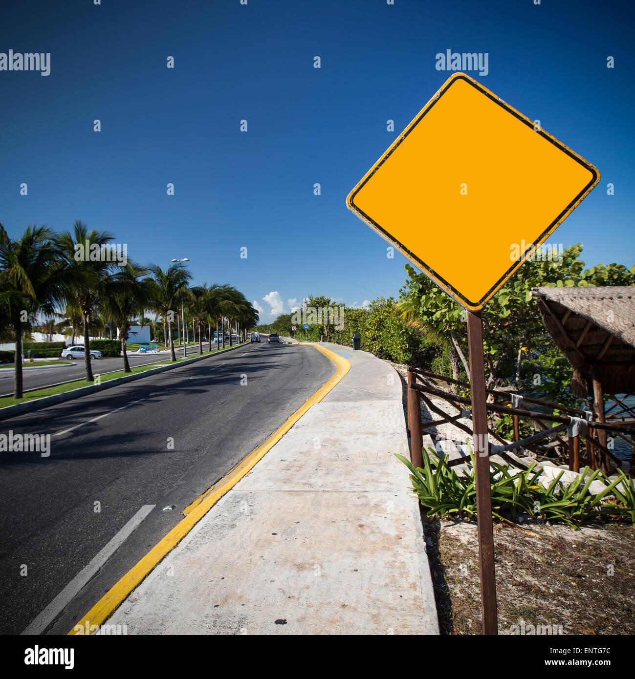 My Image 12