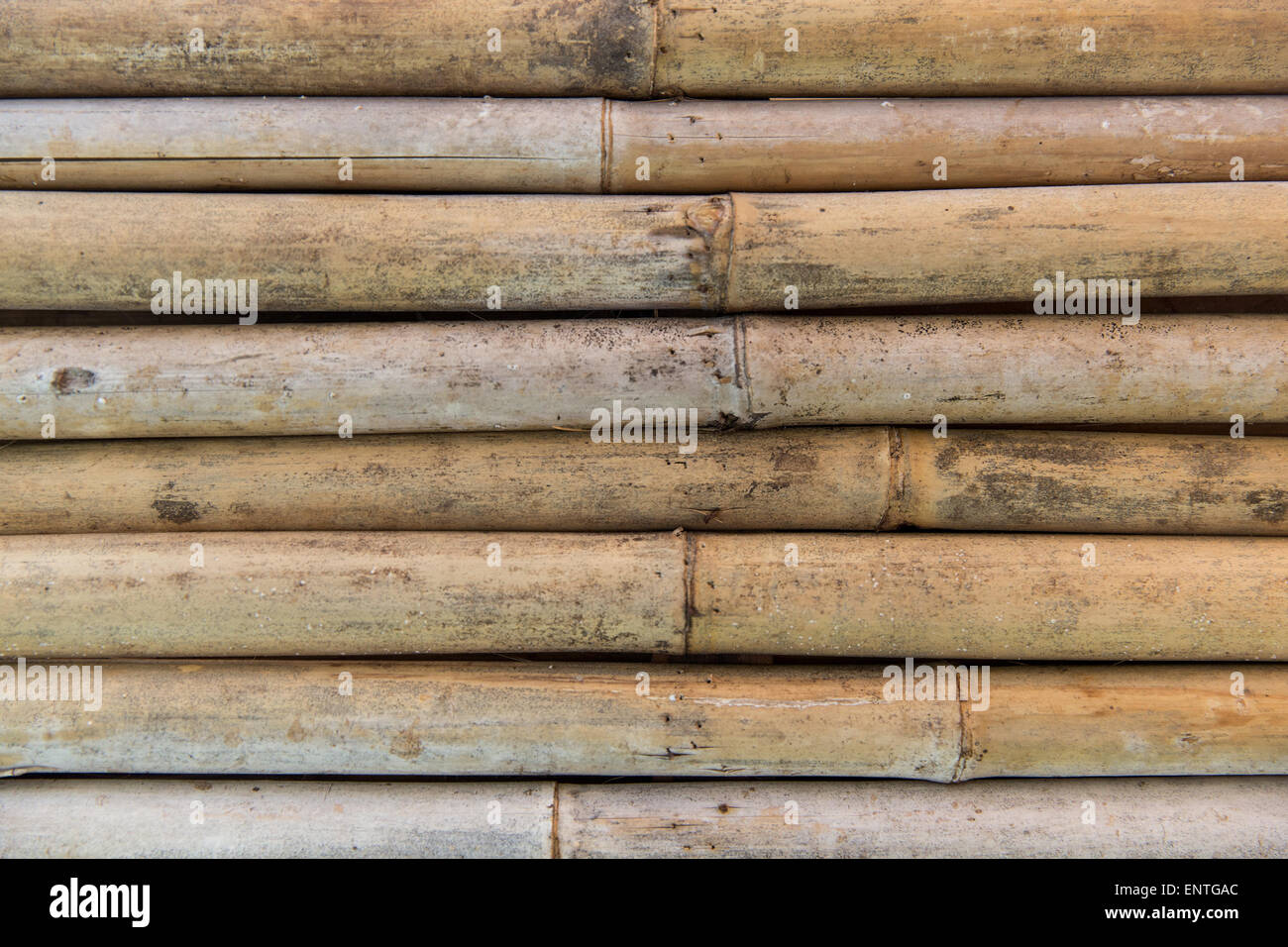 bamboo cane wall texture Stock Photo Alamy