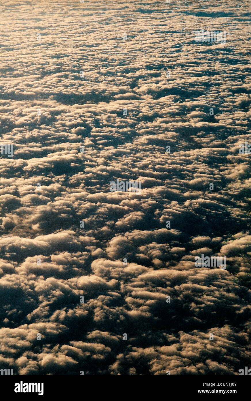 AJAXNETPHOTO. WESTERN GERMANY. - CLOUD FORMATION - A CARPET LIKE LAYER OF LOW LEVEL STRATO-CUMULUS CLOUD SEEN FROM ABOVE. PHOTO:JONATHAN EASTLAND/AJAX REF:TC6065 20 34 Stock Photo