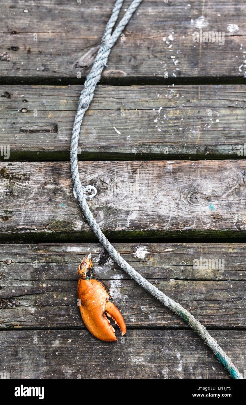 Lobster claw and rope on pier Stock Photo Alamy