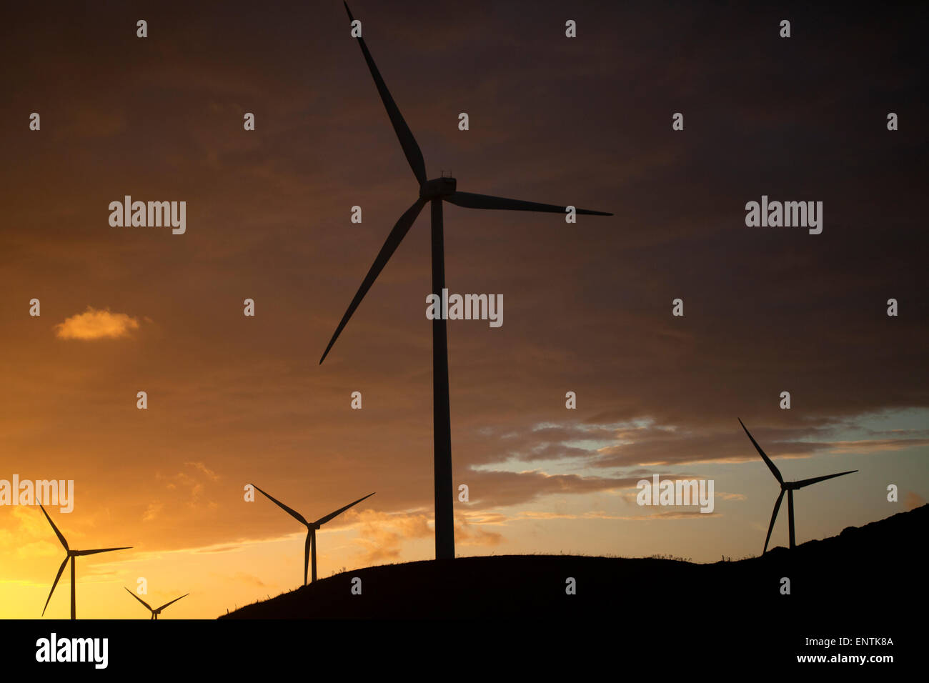 Wind turbines in Paterna de Rivera, Cadiz province, Andalusia, Spain Stock Photo