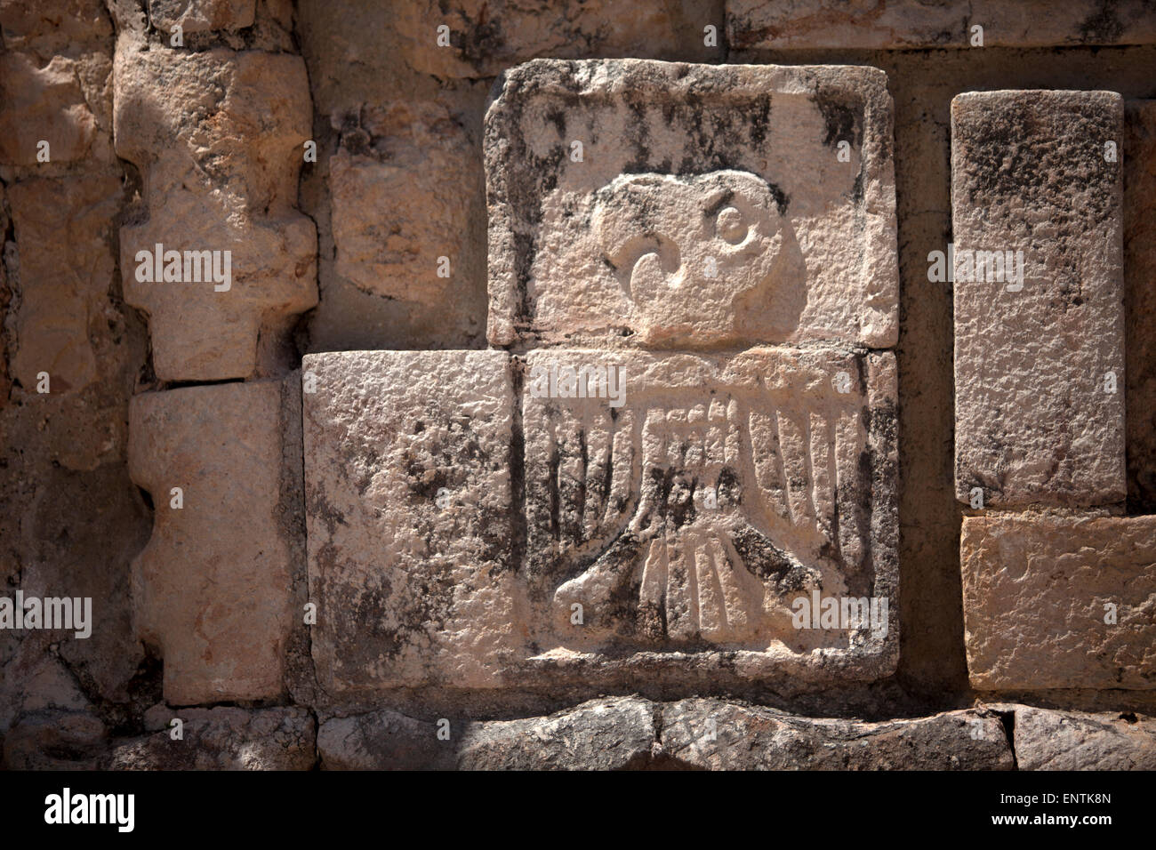 A stone relief with the image of a Guacamaya decorates a temple in the Mayan city of Uxmal, Yucatan Peninsula, Mexico Stock Photo