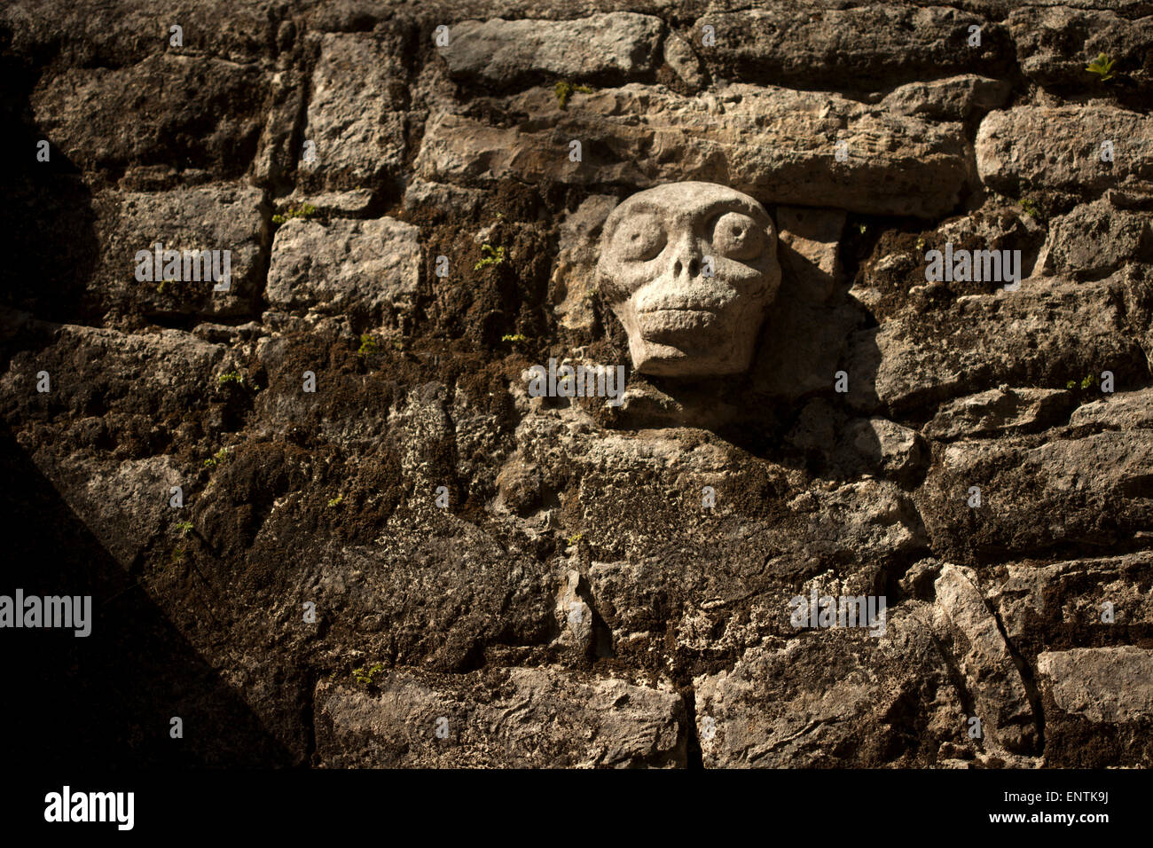 A skull sculpture decorates the Mayan city of Coba, Yucatan Peninsula, Mexico Stock Photo