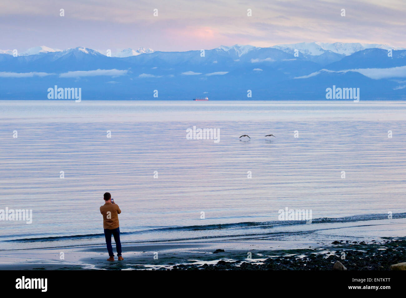 Man photographing Bailey Range mountains at dusk-Esquimalt Lagoon, Victoria, British Columbia, Canada. Stock Photo