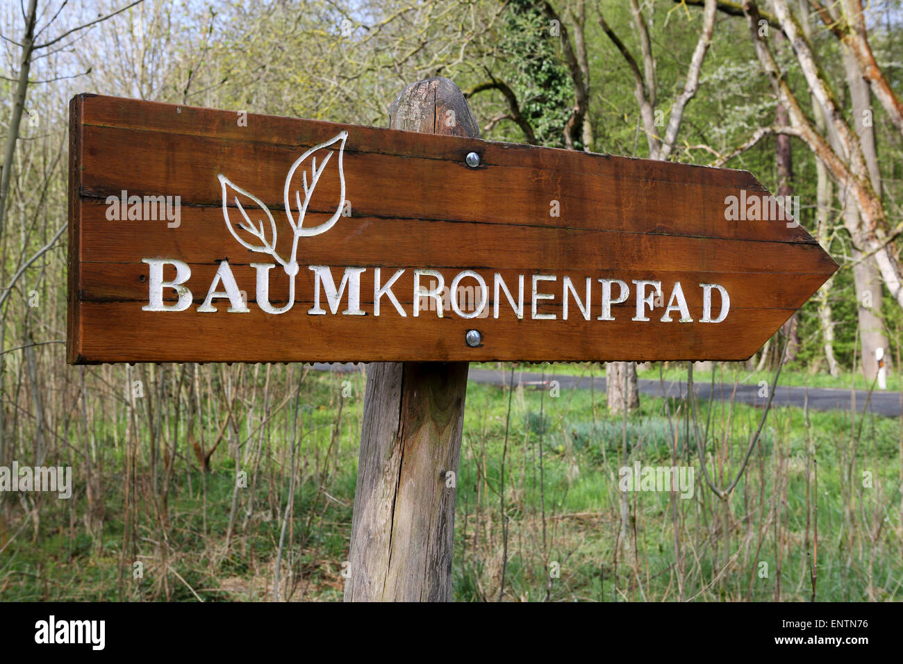A sign for the Baumkronenpfad (canopy walkway) in Hainich National Park, Germany. Stock Photo