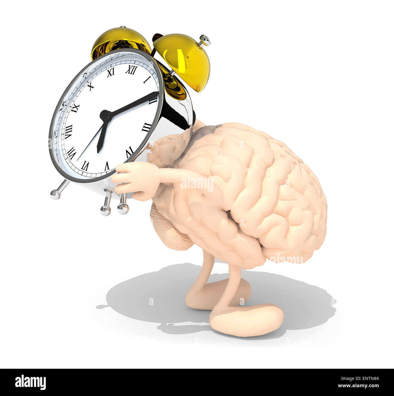 human brain with arms, legs that brings alarm clock, isolated 3d