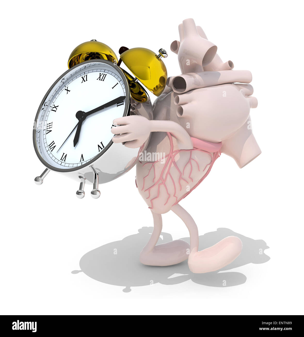 human heart with arms, legs that brings alarm clock, isolated 3d illustration Stock Photo
