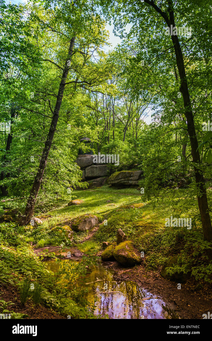 landscape woods and creek with large rocks on the shore Stock Photo - Alamy