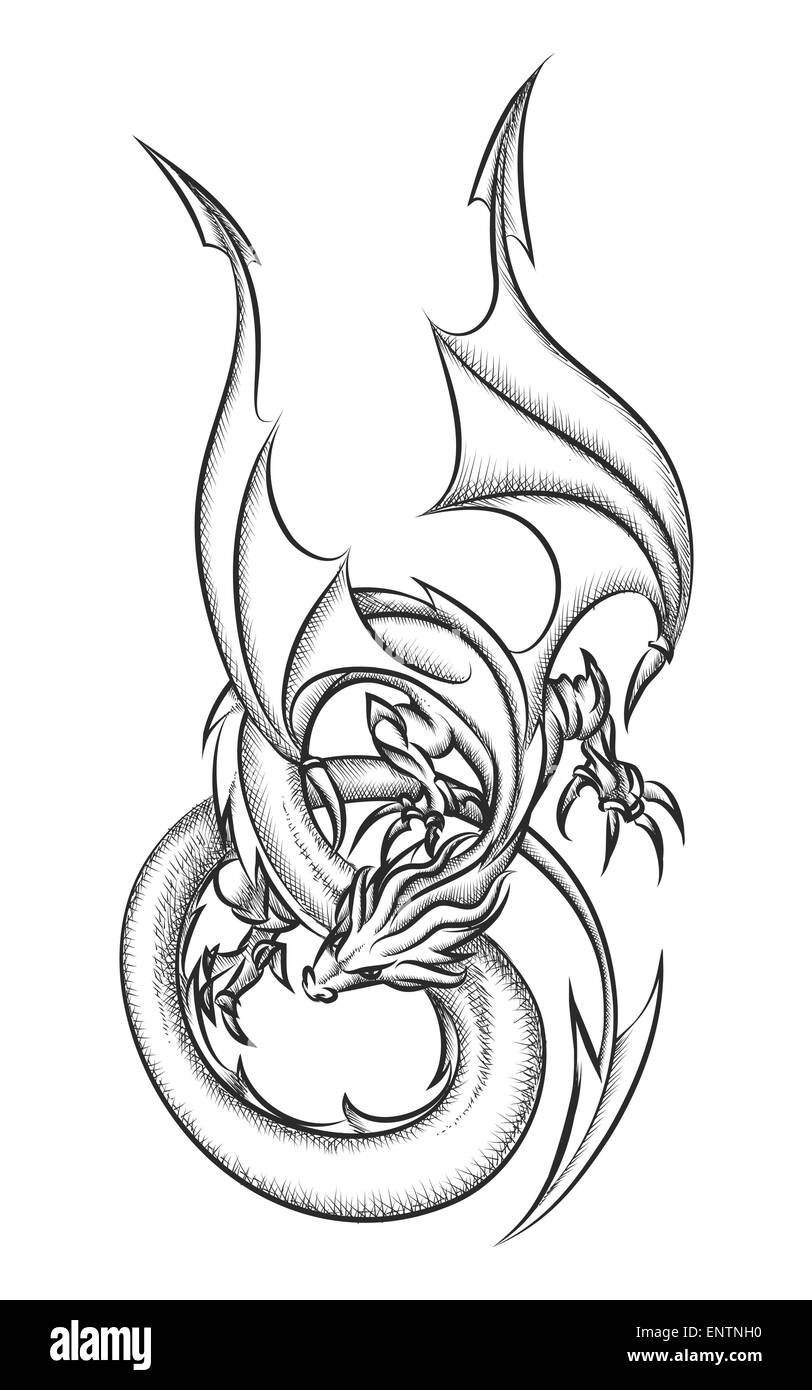 The flying dragon drawn in ink pen style. Isolated on white ...