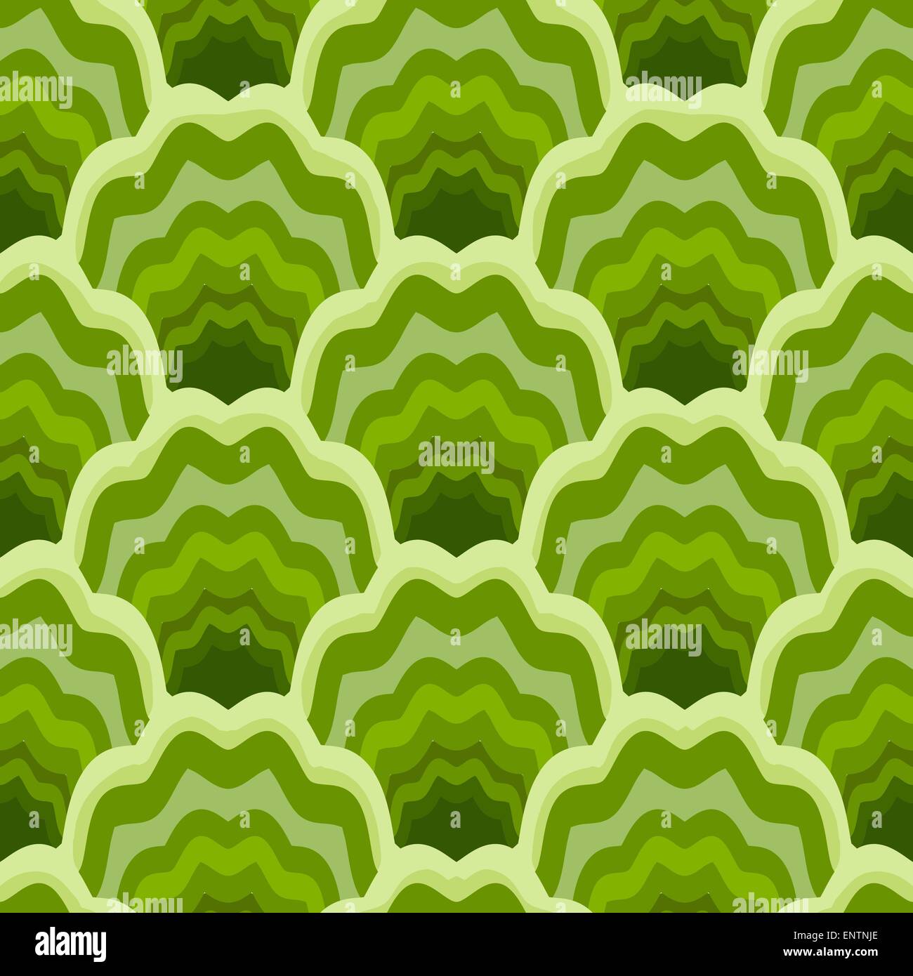 Fern illustration no vector hi-res stock photography and images - Alamy