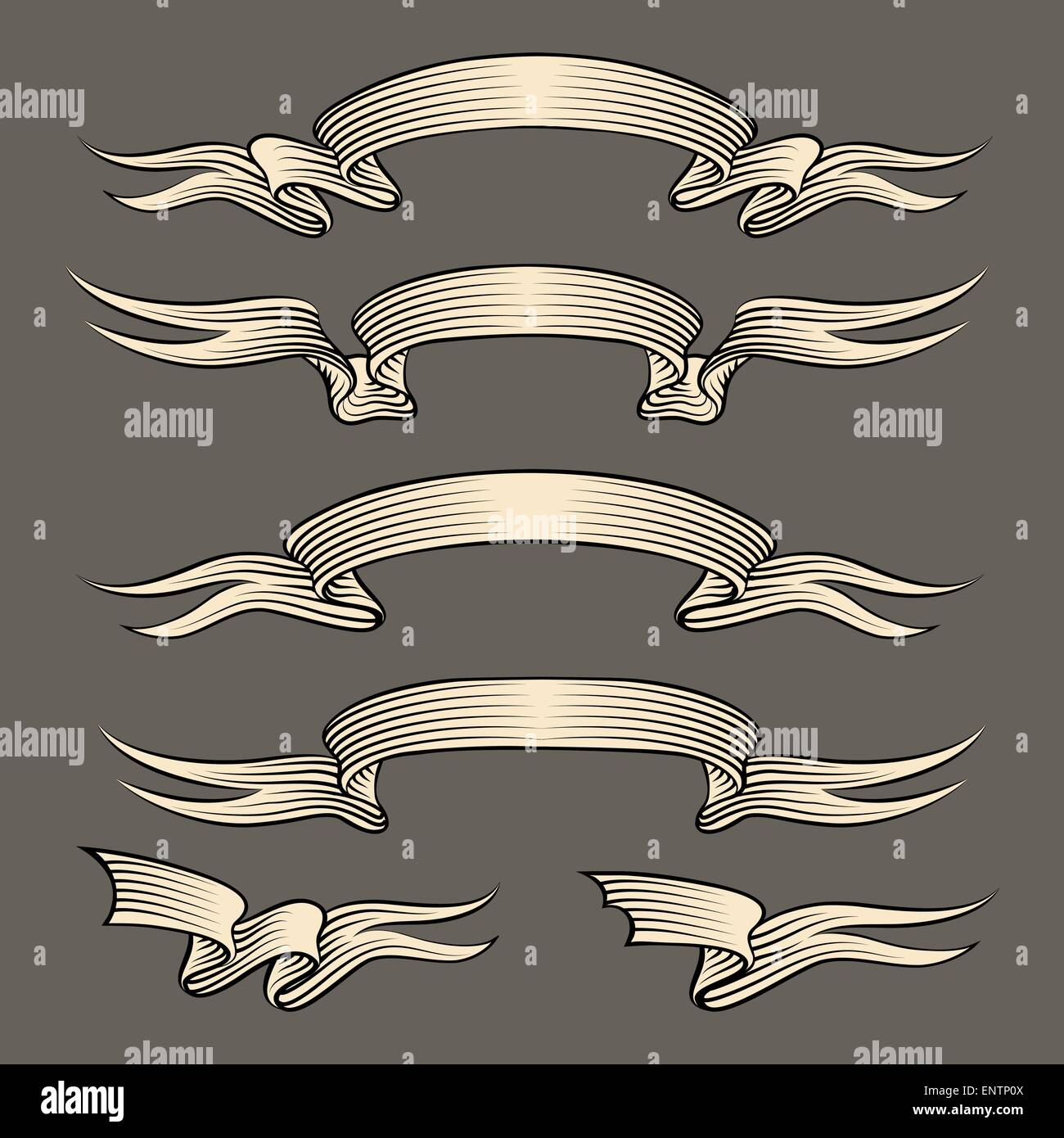 Set of ribbons drawn in vintage engraving style Stock Vector Image ...
