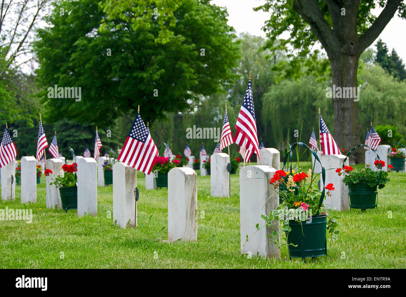 American flags on veteran's graves in cemetery Stock Photo Alamy