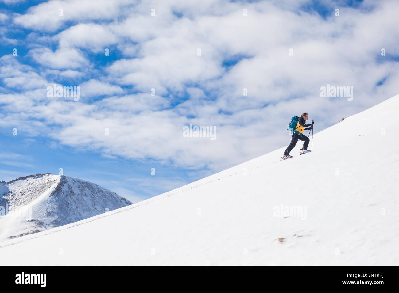 A woman skis up the east ridge of Trico Peak, San Juan National Forest, Colorado. Stock Photo