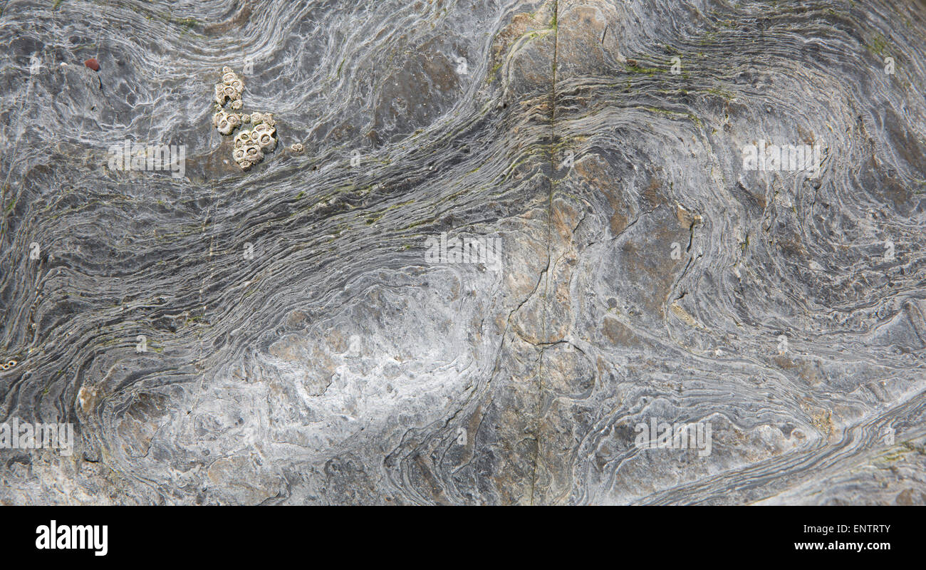 Swirl Pattern Rocks Rock background texture with swirl and natural pattern and design Stock ...