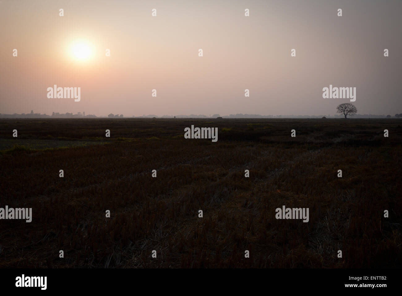 Lumbini, Nepal — the place of the Buddha's birth. Stock Photo