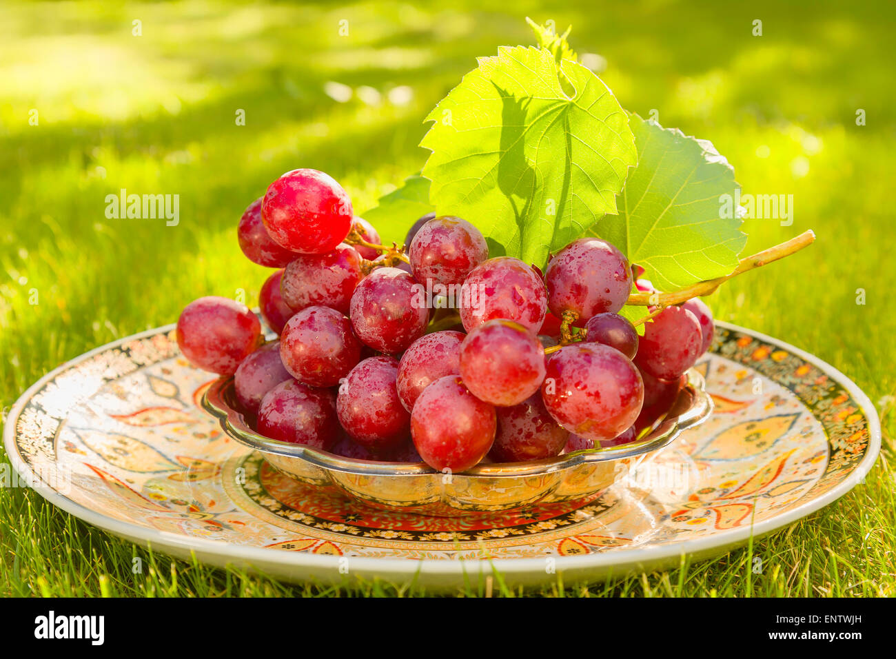 Red grapes in the garden in backlit Stock Photo Alamy
