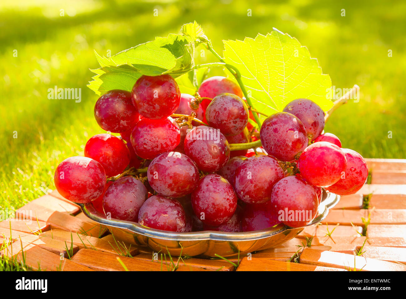 Red grapes in the garden in backlit Stock Photo - Alamy