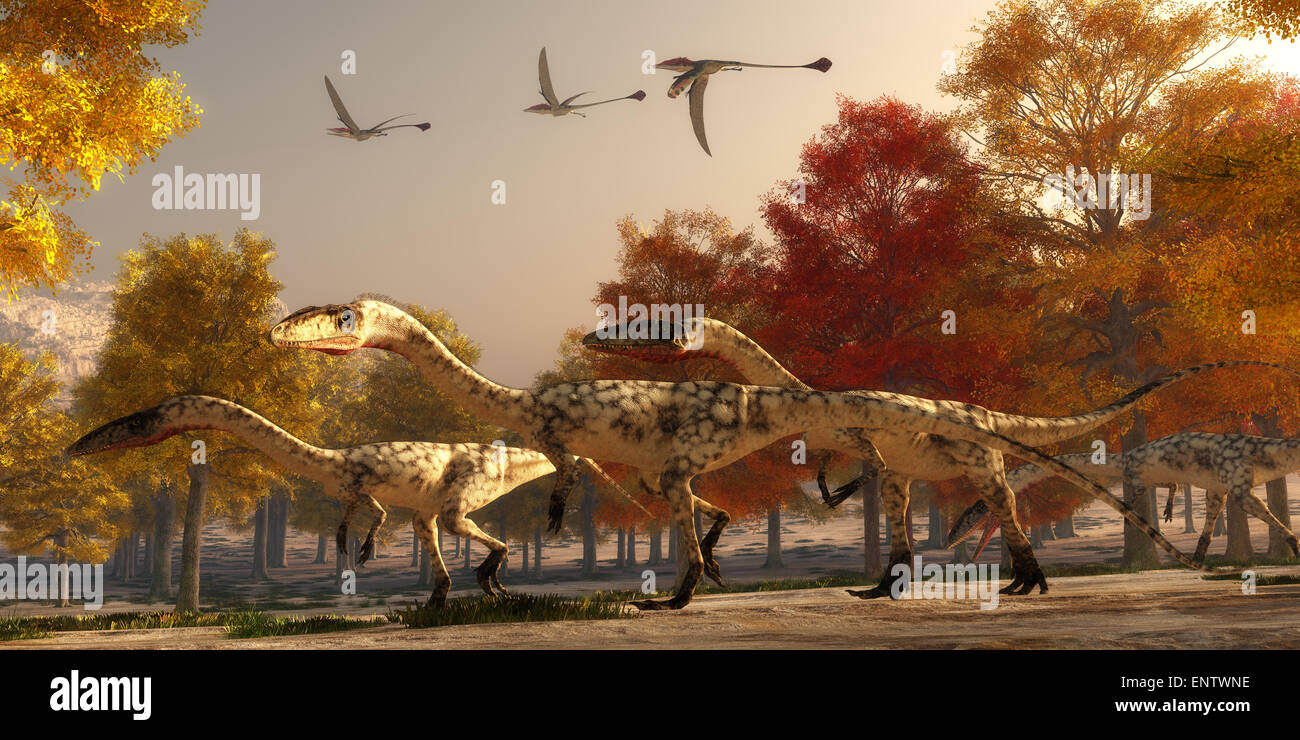 Three flying Eudimorphodons pass a group of Coelophysis hunting for prey through a forest of autumn trees in the Triassic Period Stock Photo