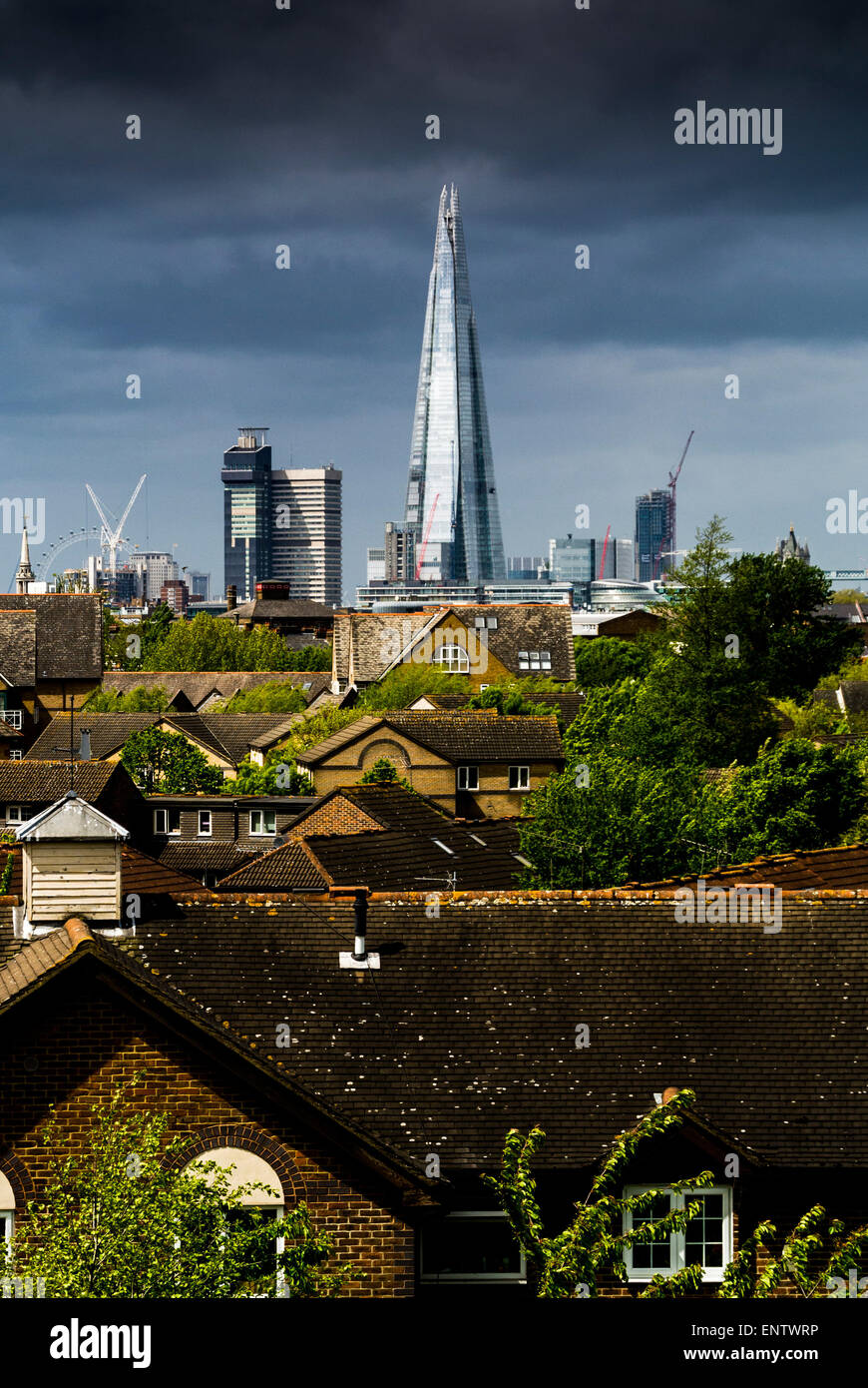 View of The Shard and residential houses from Stave Hill, Rotherhithe, London. Stock Photo