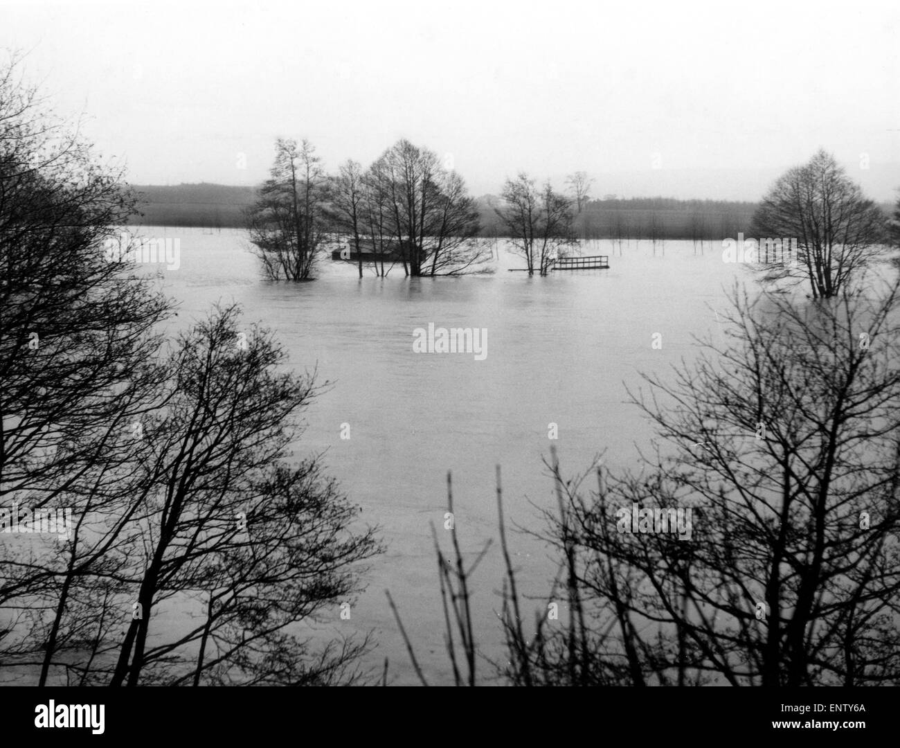 Scene at Ford near Berwick, after the river rose nearly eight feet and broke its banks, following 50 hours of torrential rain, 20th March 1971. Stock Photo