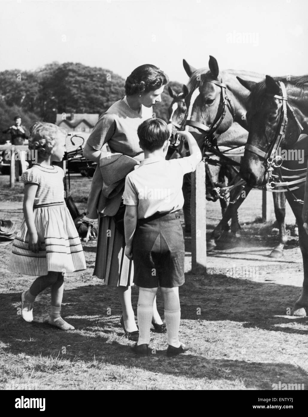 The Queen, Prince Charles and Princess Anne at the Royal Windsor Horse Show. May 1956. Stock Photo