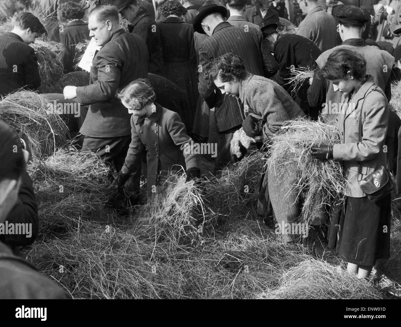 Needle in a haystack Black and White Stock Photos & Images Alamy