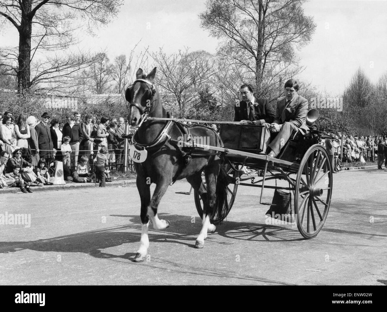 The London Harness Horse Parade in Regents Park Hackney horse Roscourt