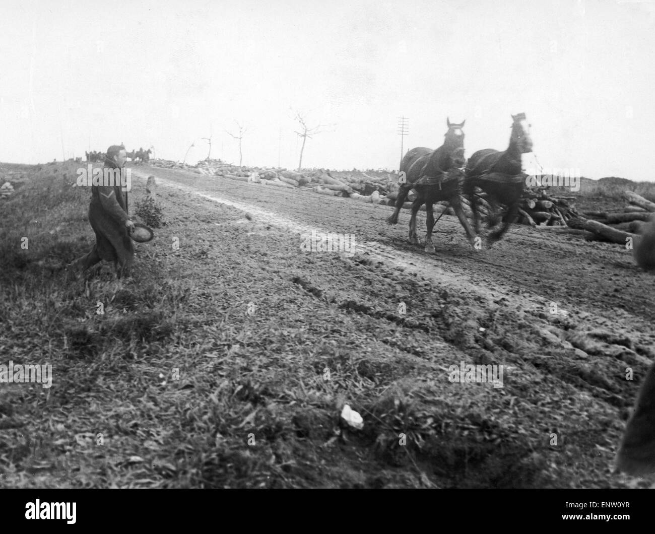 A pair of transport horses startled by a shell burst on the Somme battlefield. 15th October 1916 Stock Photo