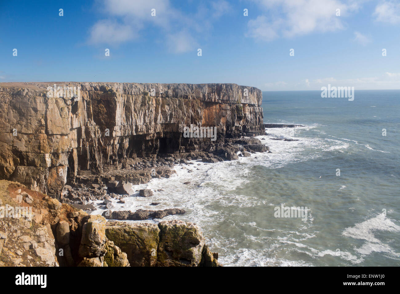 Stackpole Head headland cliffs and sea Pembrokeshire South West Wales UK Stock Photo