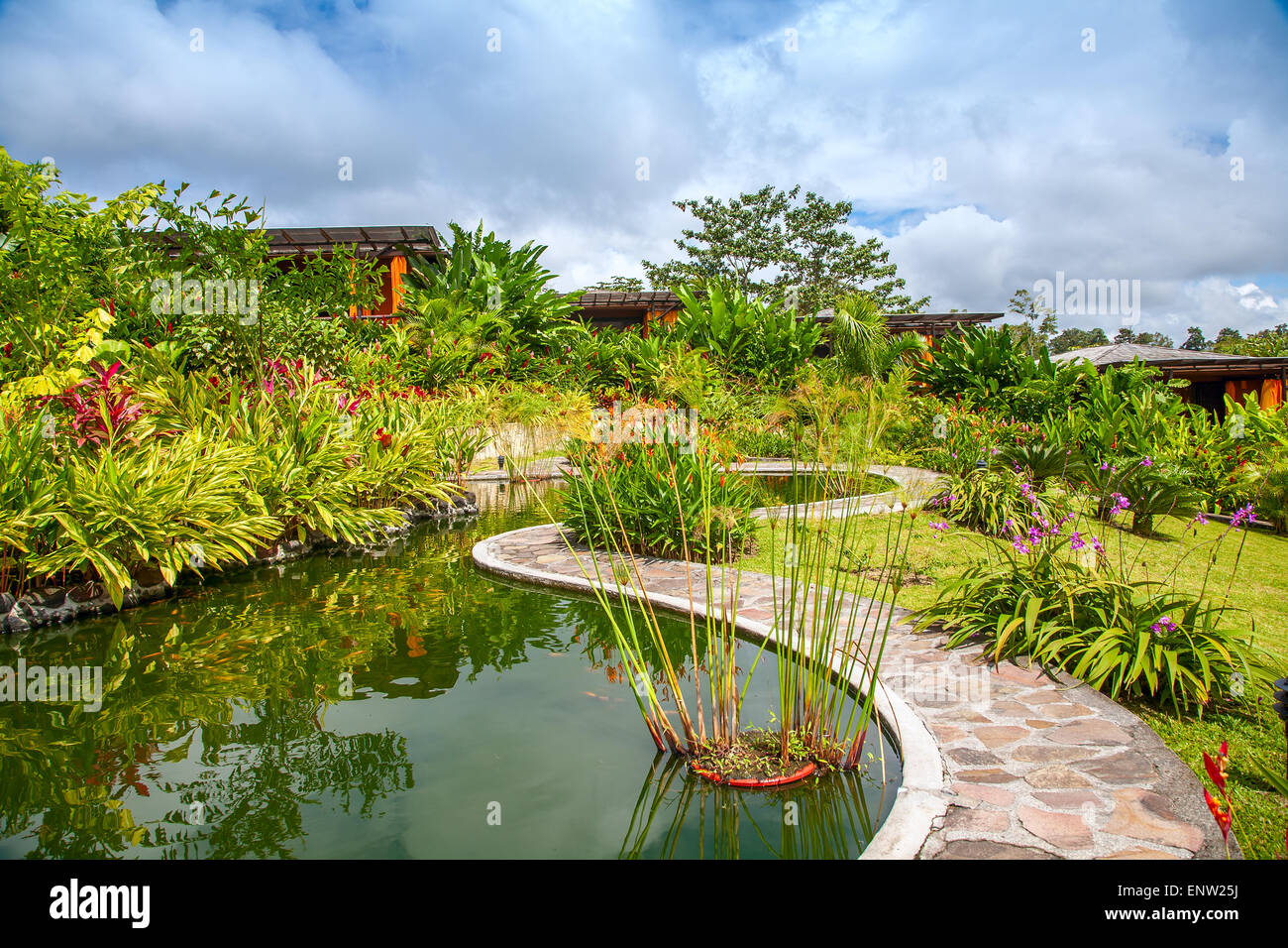 Garden with various tropical plants and flower Stock Photo - Alamy