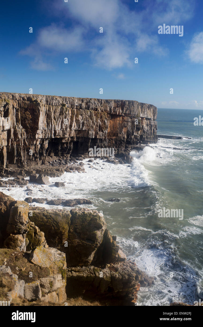 Stackpole Head headland and cliffs Pembrokeshire West Wales UK Stock Photo
