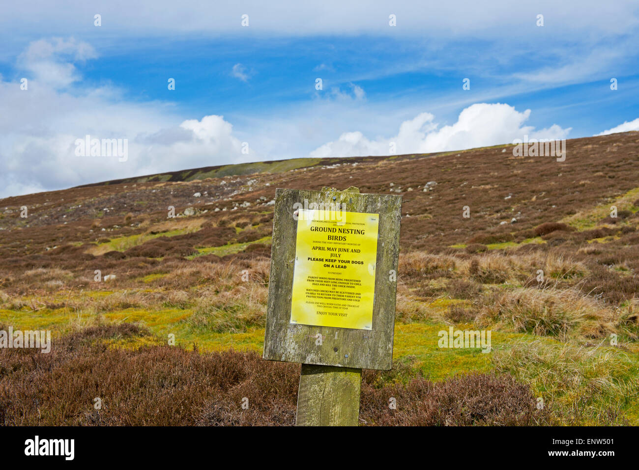 Sign asking walkers not to disturb ground nesting birds, Swaledale, Yorkshire Dales National Park, North Yorkshire, England UK Stock Photo