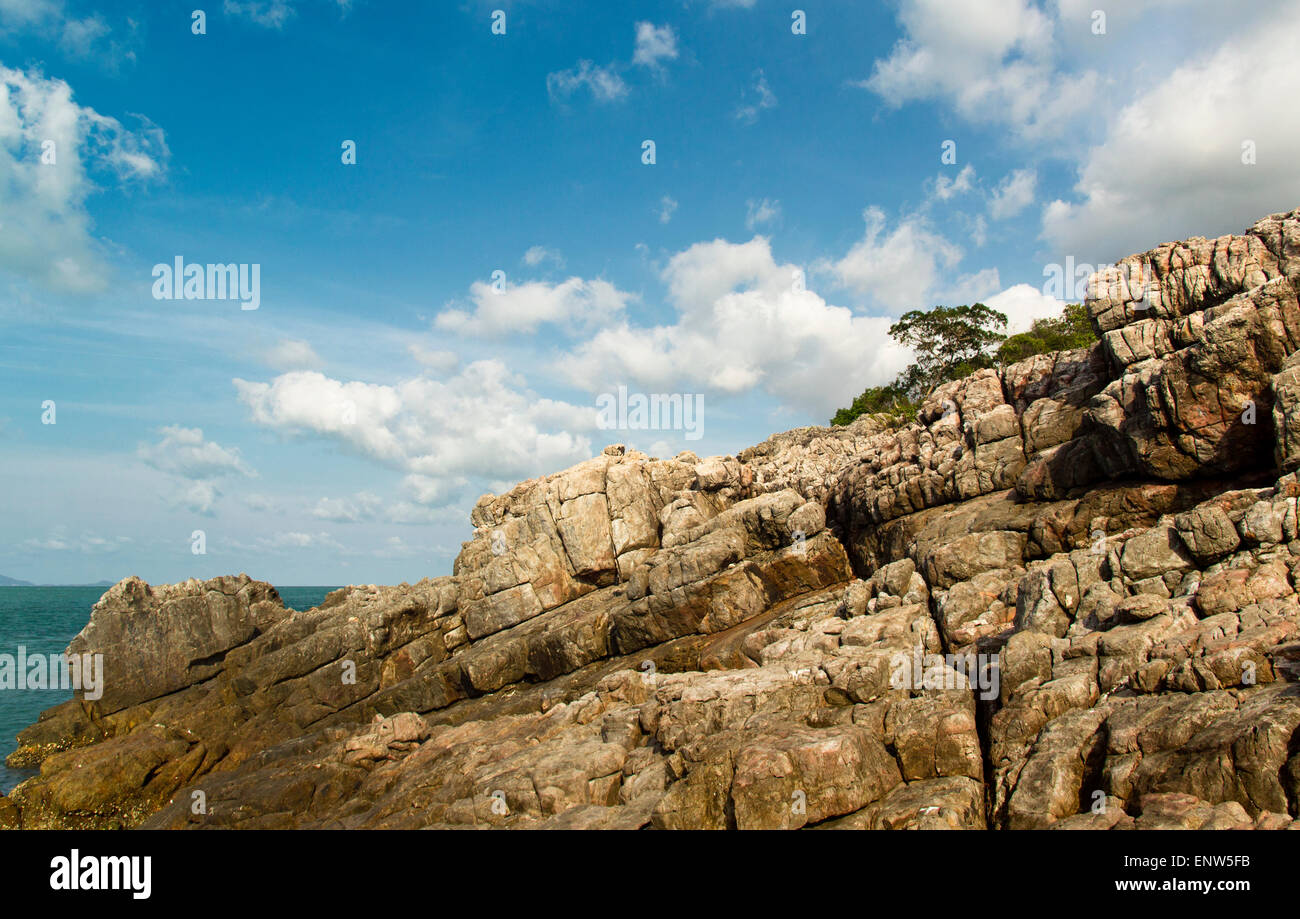 Lonely tree on mountain top hi-res stock photography and images - Alamy