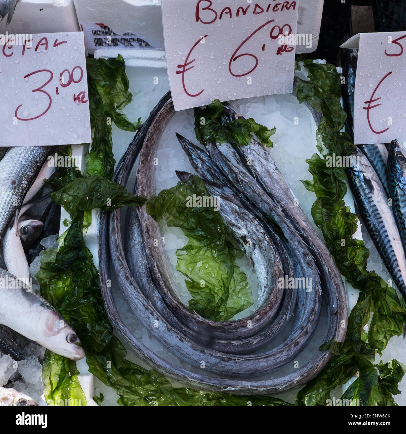 lepidopus caudatus, pesce bandiera in italian, at fish market,Naples Stock  Photo - Alamy