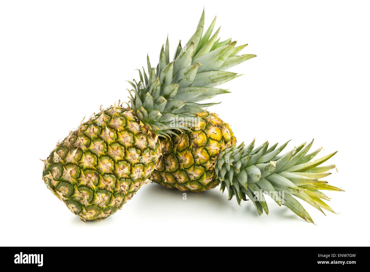 Two whole uncut pineapple fruit (ananas comosus) with green leaves over