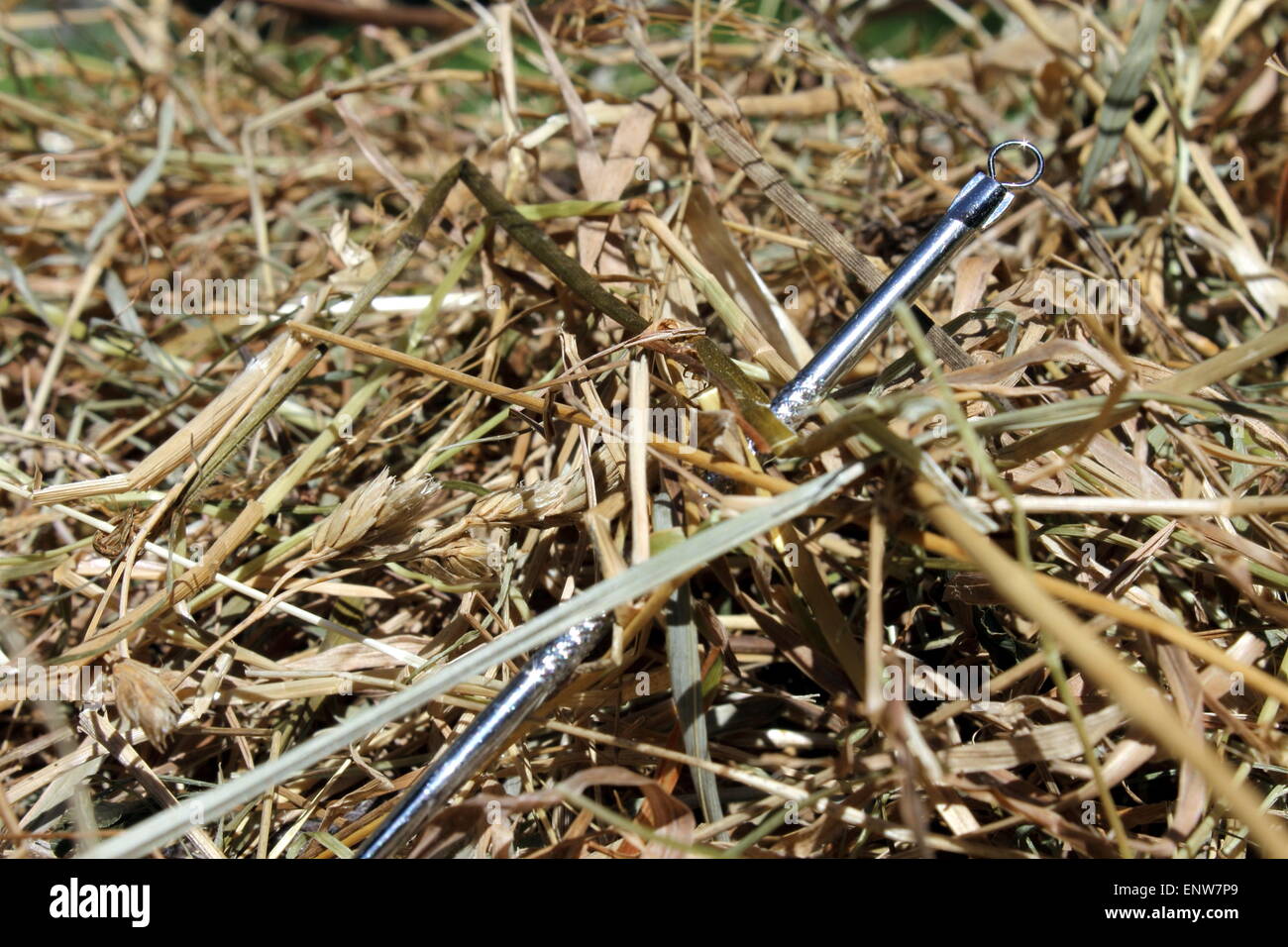 Needle in a Haystack Stock Photo Alamy