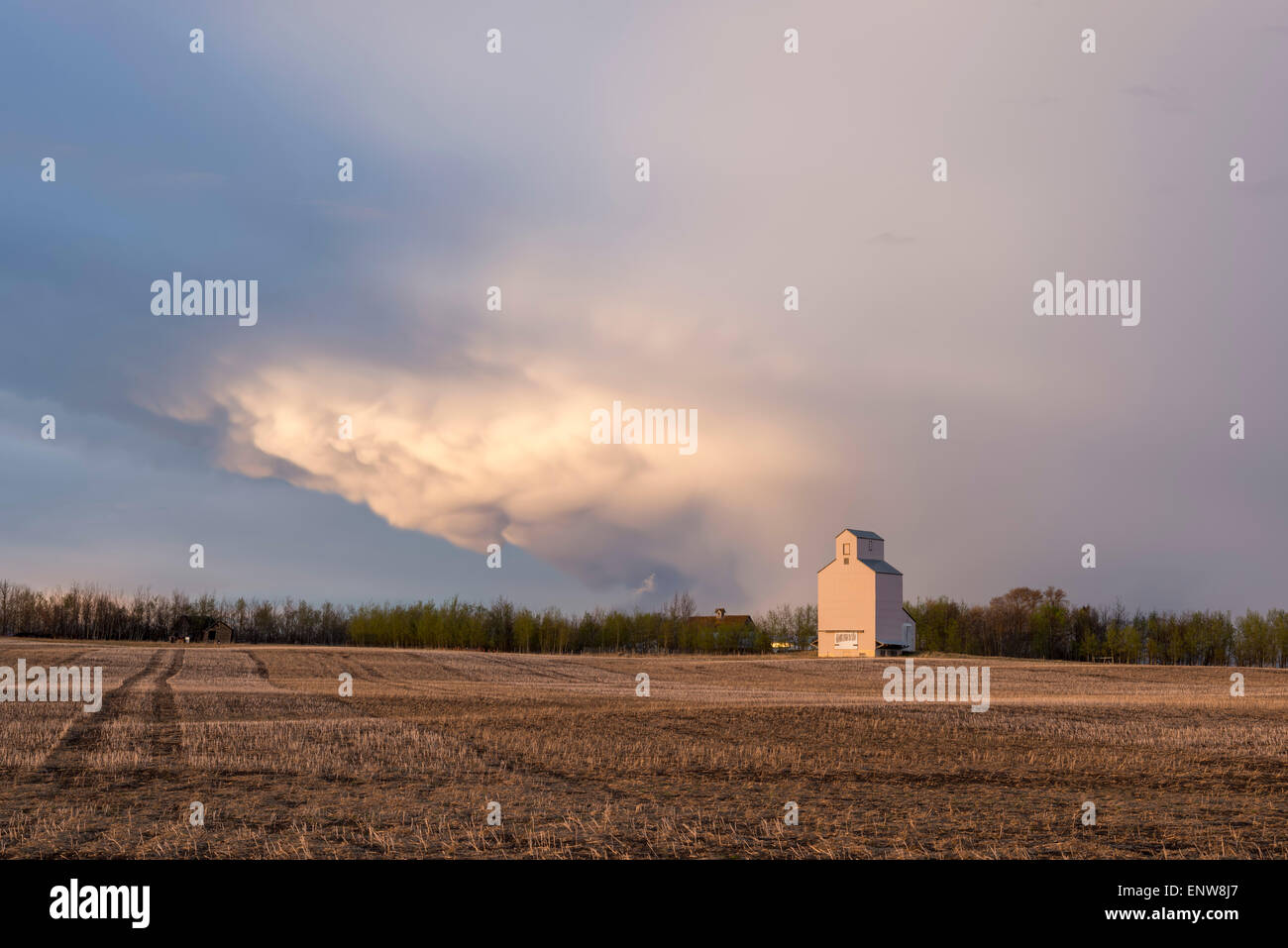 Grain elevator Stock Photo