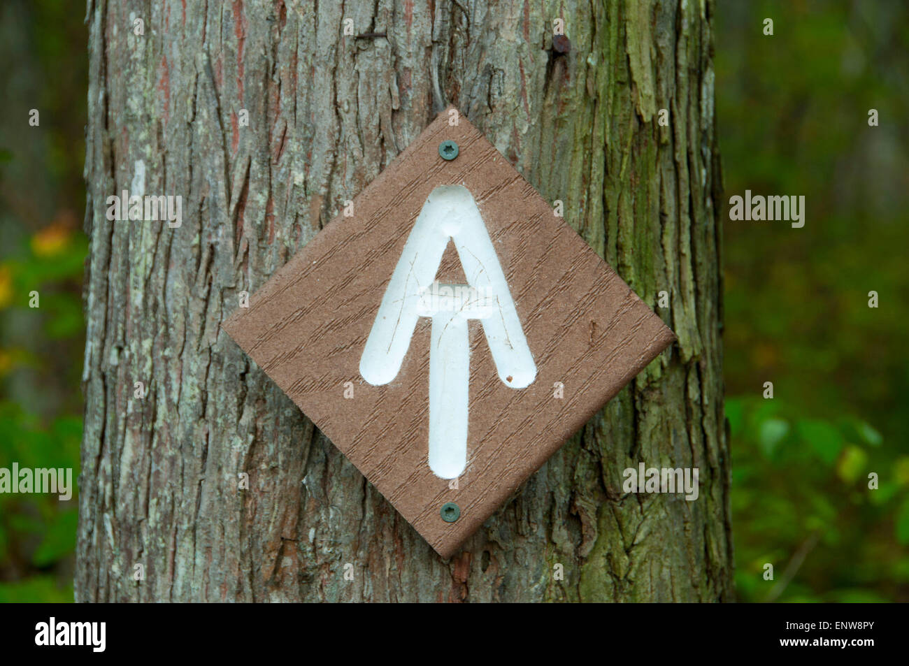 Appalachian Trail marker, Appalachian National Scenic Trail, Stanley Works Cooperative Wildlife Management Area, Connecticut Stock Photo