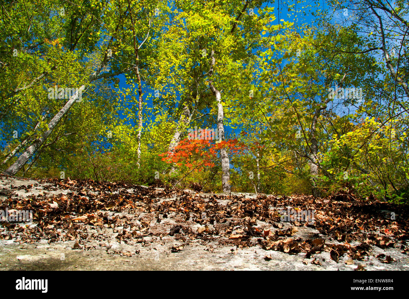 Saint Johns Ledges along Appalachian Trail, Appalachian National Scenic