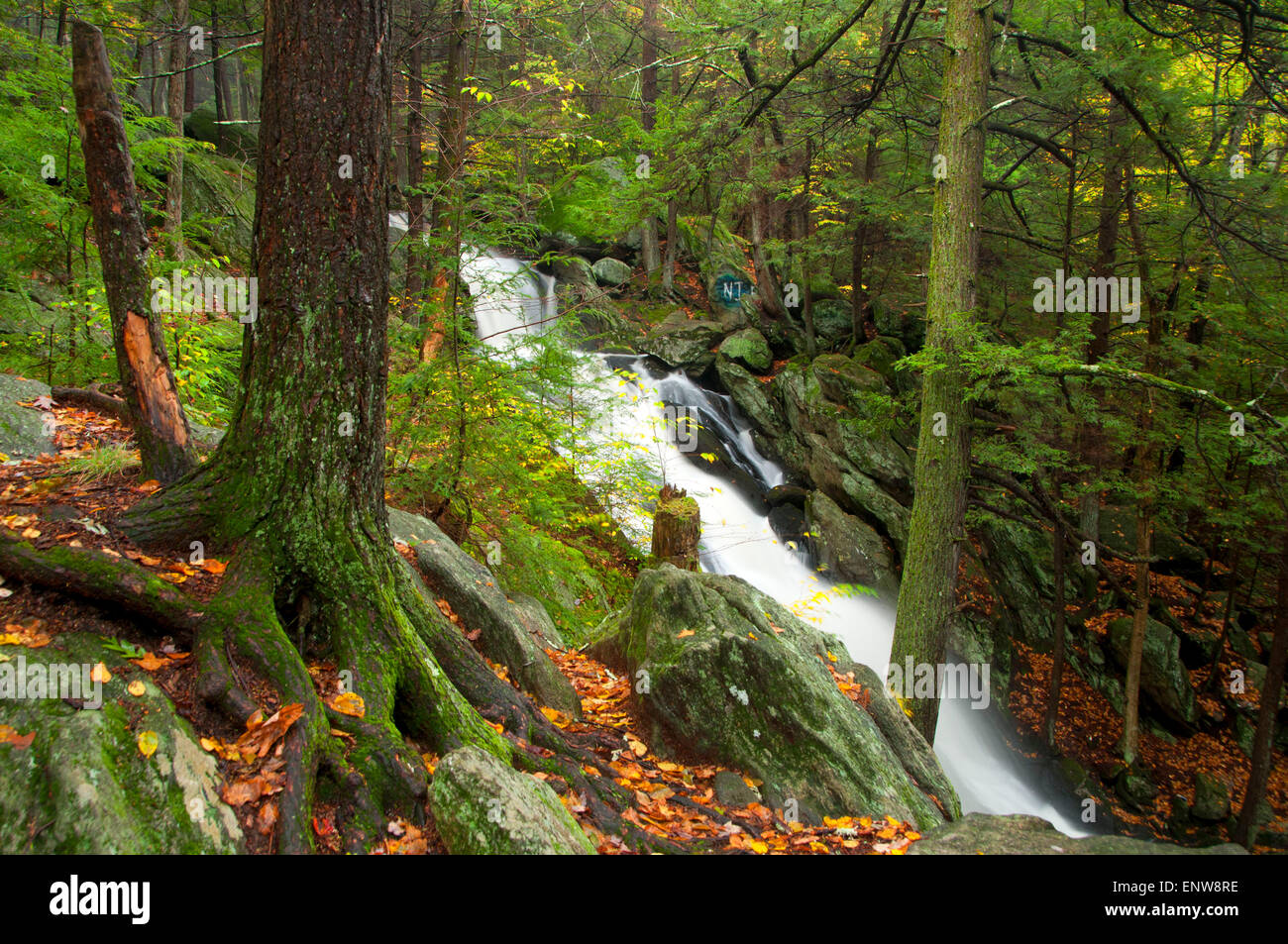 Buttermilk Falls, Buttermilk Falls Preserve, Connecticut Stock Photo