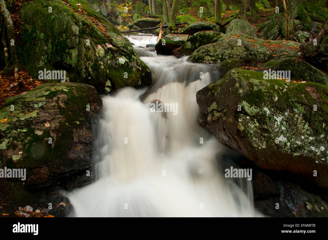 Buttermilk Falls, Buttermilk Falls Preserve, Connecticut Stock Photo