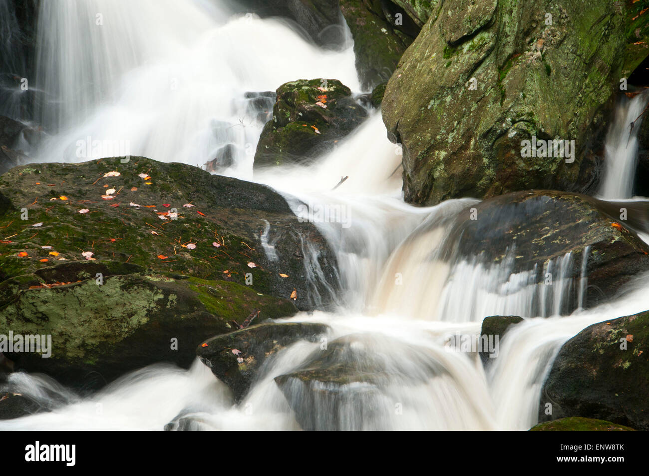 Buttermilk Falls, Buttermilk Falls Preserve, Connecticut Stock Photo